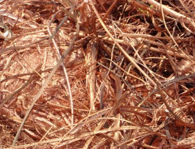 Πιάσε χαλκό και μη φοβάσαι! Τα μικρόβια… τον τρέμουν